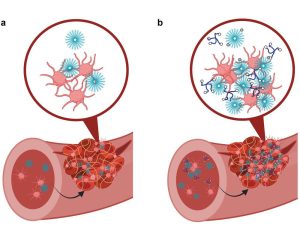 Clinical use of coagulation tests